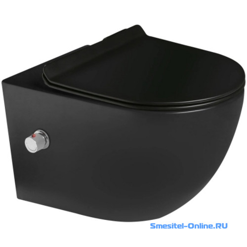 Фото  Унитаз подвесной   с биде  SantiLine  SL-5002MB-BD