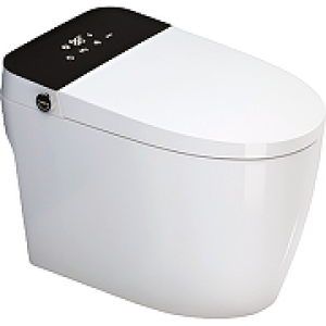 Унитаз приставной с биде SantiLine SL-5034 Унитаз приставной с биде SantiLine SL-5034