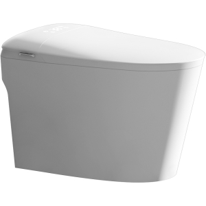 Унитаз приставной с биде SantiLine SL-5036 Унитаз приставной с биде SantiLine SL-5036