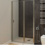 Душевая дверь 100 Allen Brau Priority 3.31029.BA серебро браш