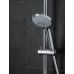 Ручной душ Grohe Euphoria Massage 27239000  