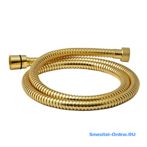 Фото Шланг 150 Giulini Futuro золото F1573О