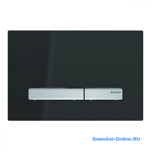 Фото  Смывная клавиша Geberit Sigma 50 115.788.DW.2 черная сталь 