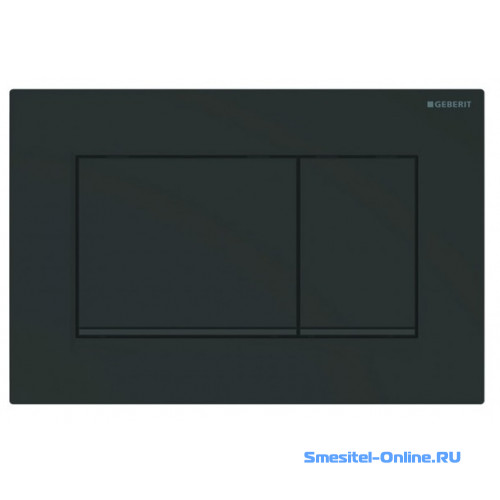 Фото    Смывная клавиша Geberit Sigma30 115.883.DW.1 черный глянцевый