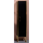 Шкаф-пенал Armadi Art Monaco 868-BG-R черный, золото