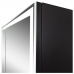 Зеркальный шкаф 100х80 Art&Max Techno AM-Tec-1000-800-2D-F-Nero черный  