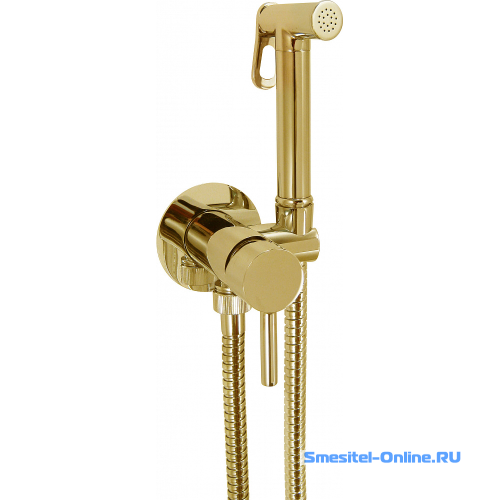 Фото Гигиенический душ со смесителем Giulini Futuro золото FSH25O