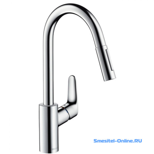 Фото Смеситель для кухни Hansgrohe Focus 31815000