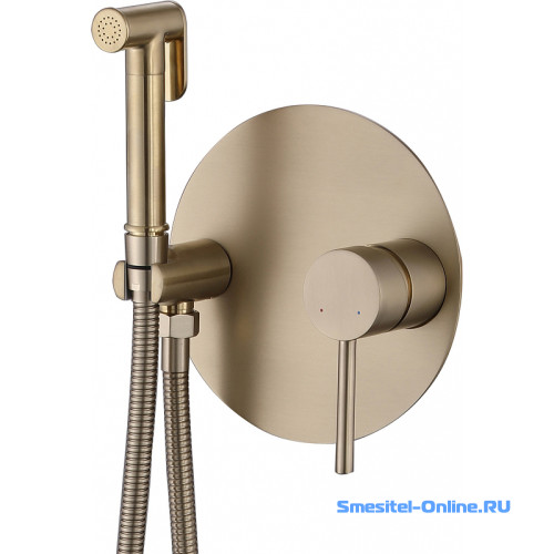Фото Смеситель с гигиеническим душем Abber Emotion AF8826G золото матовое