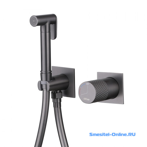 Фото Смеситель с гигиеническим душем Abber Rund AF8725NG никель