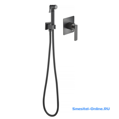 Фото Смеситель с гигиеническим душем Timo Torne 4389 03SM черный black