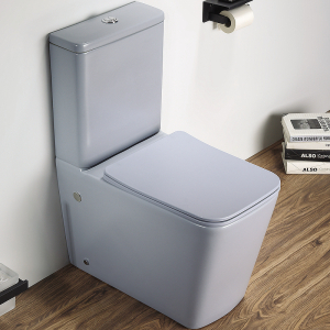 Унитаз напольный Ceramalux 2170AXMHL голубой матовый