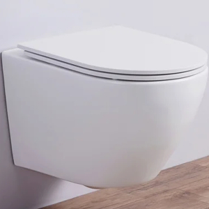 Унитаз подвесной 2197MW белый матовый