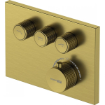 Смеситель для душа Wasserkraft Aisch 5558 Thermo золото матовое