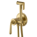 Смеситель с гигиеническим душем Wonzon&Woghand Steam WW- 88829008-BG брашированное золото