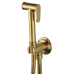Смеситель с гигиеническим душем  Wonzon&Woghand Steam WW- 88849008-BG брашированное золото 
