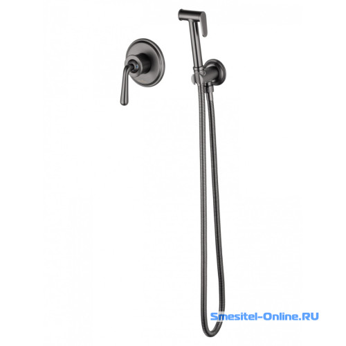 Фото Смеситель с гигиеническим душем  Wonzon&Woghand Steam WW- 88849008-BGM темный графит