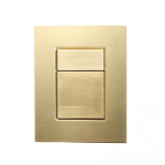 Кнопка смыва Wonzon&Woghand WW-IB256-BG брашированное золото