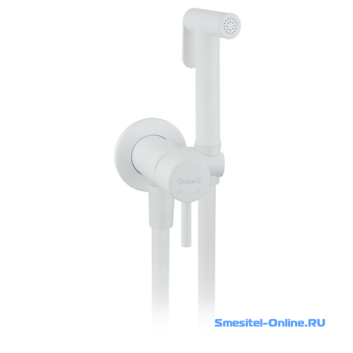 Фото Смеситель с гигиеническим душем Giulini Futuro FSH23EPBO белый матовый