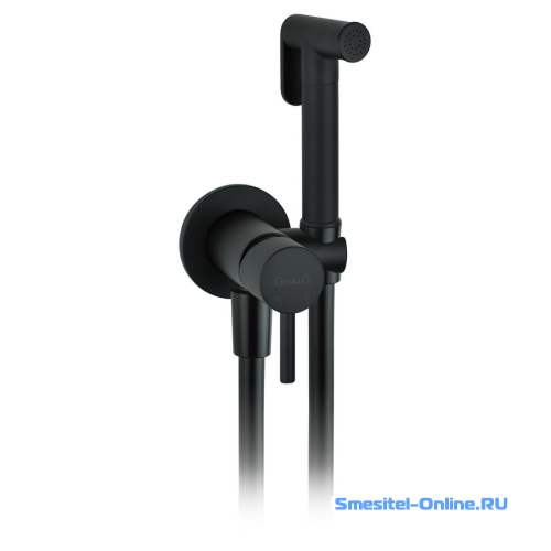 Фото Смеситель с гигиеническим душем Giulini Futuro FSH23EPNO черный матовый