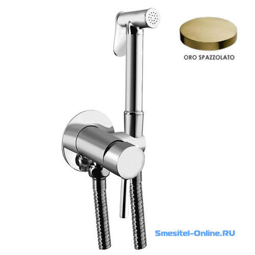 Фото Смеситель с гигиеническим душем Giulini Futuro FSH23EPOSP золото брашированный