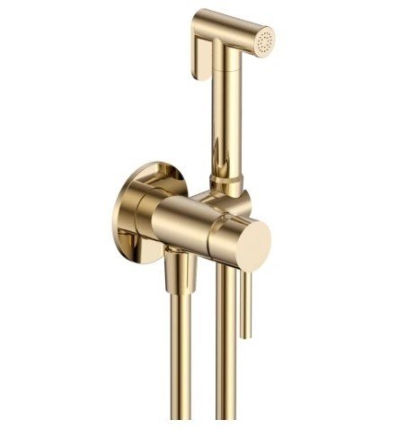 Смеситель с гигиеническим душем AQUAme Siena AQM6217BG шлифованное золото 