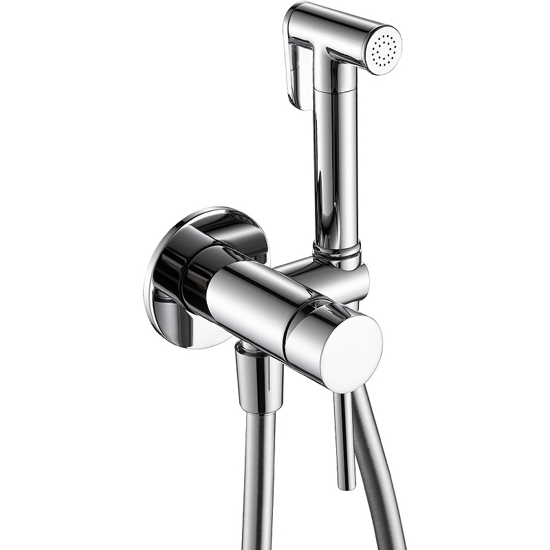 Смеситель с гигиеническим душем AQUAme Siena AQM6217CR Siena хром 