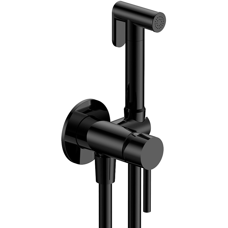 Смеситель с гигиеническим душем AQUAme Siena AQM6217MB черный матовый 